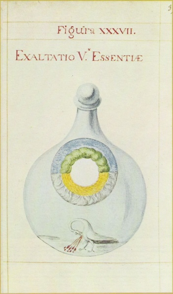 Arquivo:Exaltatio.jpg